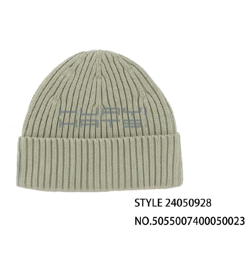 Light Green Solid Color Beanie Hat
