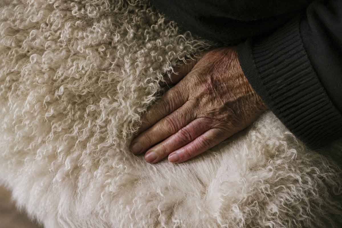 Cashmere blend material