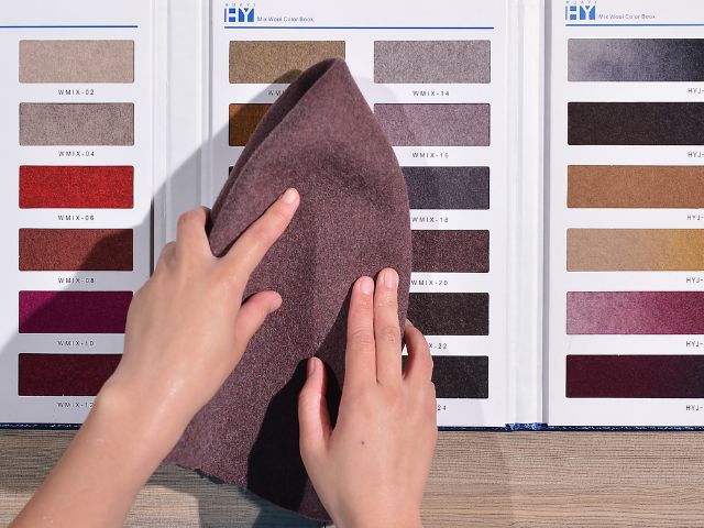 Hat body color difference evaluation equipment